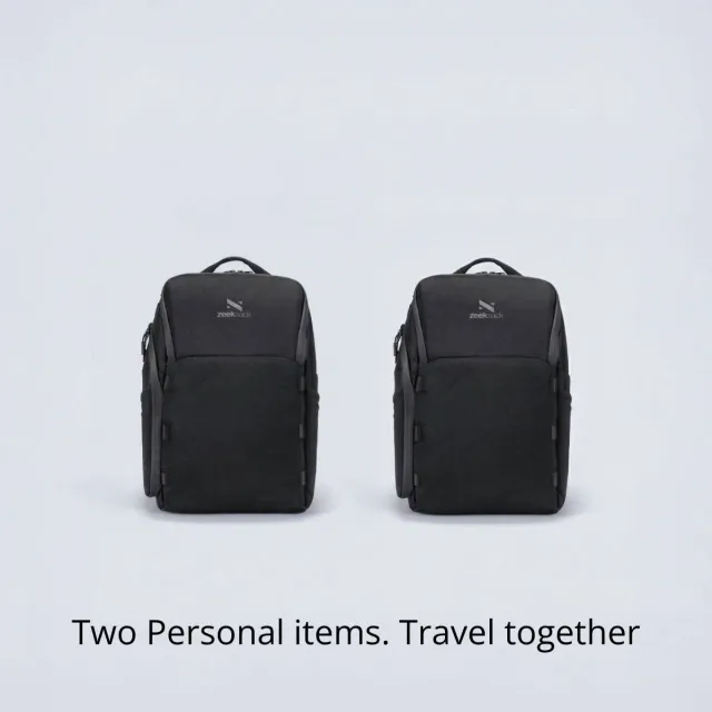 ZEEKSACK The Underseat 15L organizer duo 2-pack