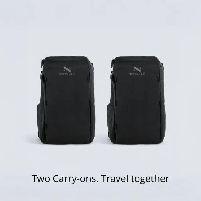 ZEEKSACK The Organizer 30L organizer duo 2-pack