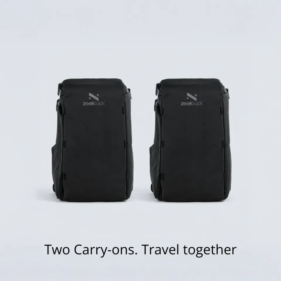 ZEEKSACK The Organizer 30L organizer duo 2-pack